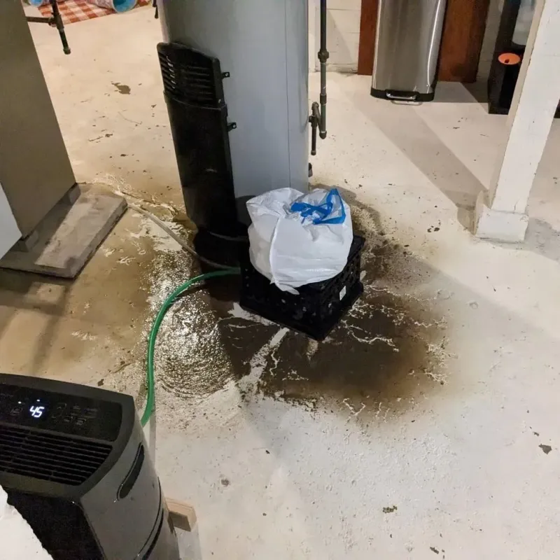 Sewage Backup Cleanup Service in Colusa County, CA